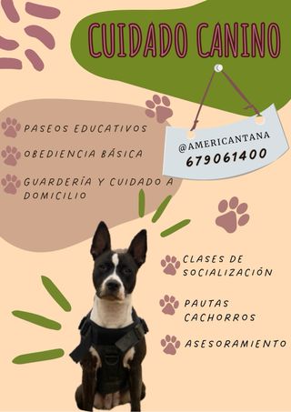 Adiestramiento y cuidado canino