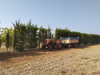 Parcela