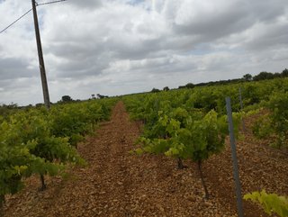 Parcela