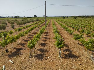 Parcela