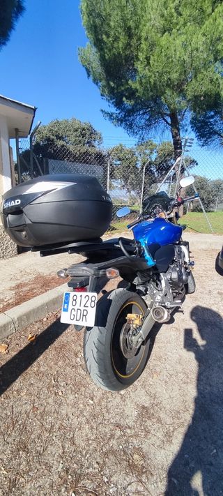 Honda CB 600 F Hornet ABS 105 cv