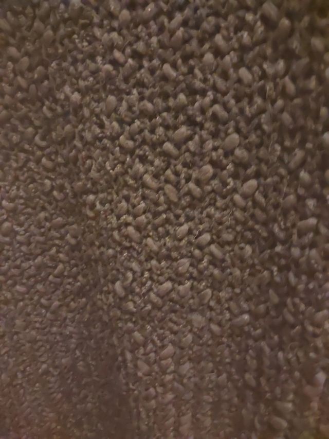 jersey talla 46 sin estrenar solo probar 