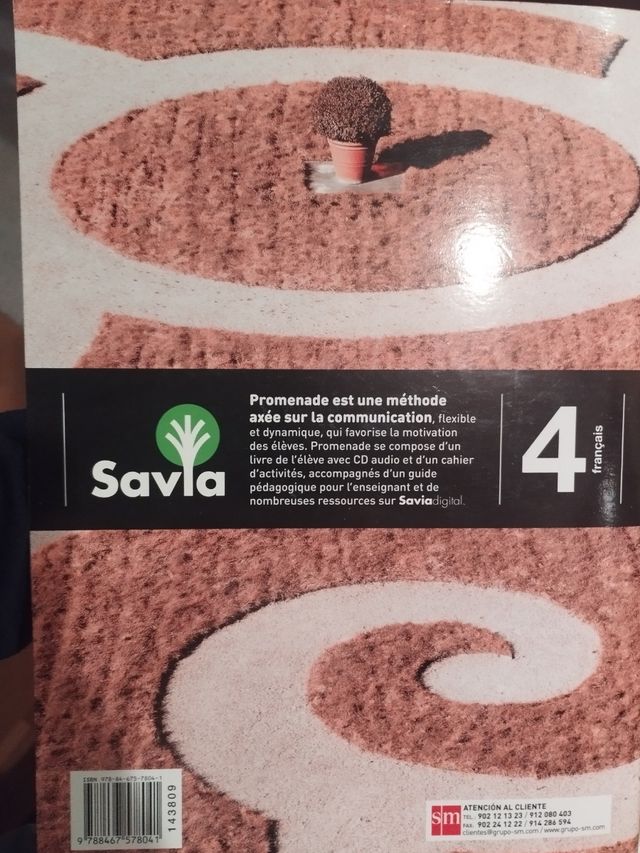 Cahier de français. 4 ESO. Promenade