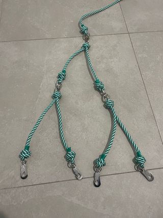 Correa perros andalucia