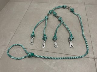 Correa perros andalucia