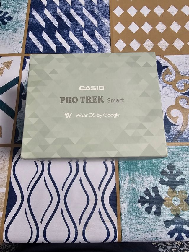 Reloj Casio Pro Trek WSD-F20