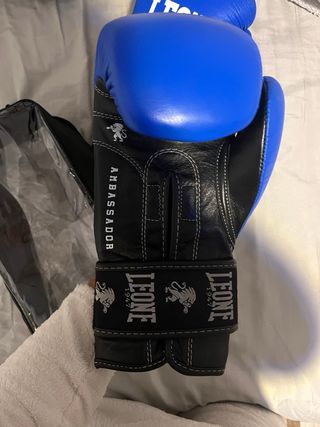 Guantes Boxeo Totalmente Nuevos