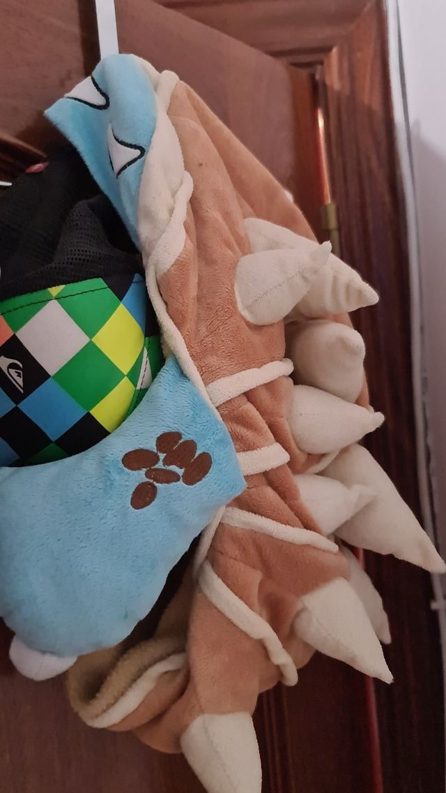 Rammus League of Legends