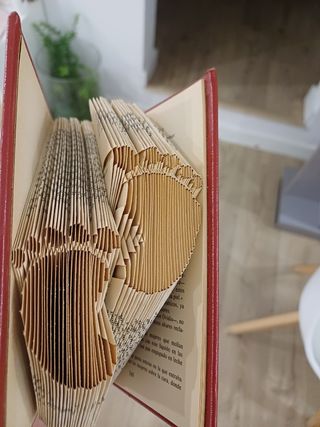 Libro regalo