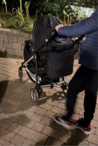 Peg perego trio