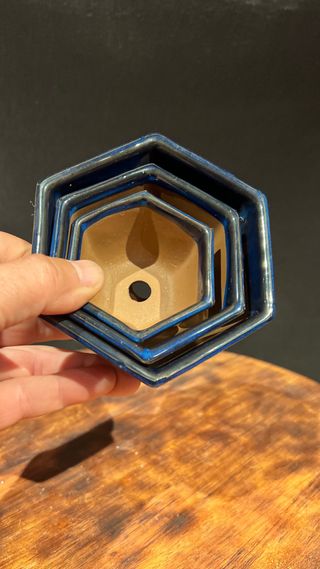 MACETAS BONSAI YOKKAICHI EXAGONALES JAPONESAS AZUL