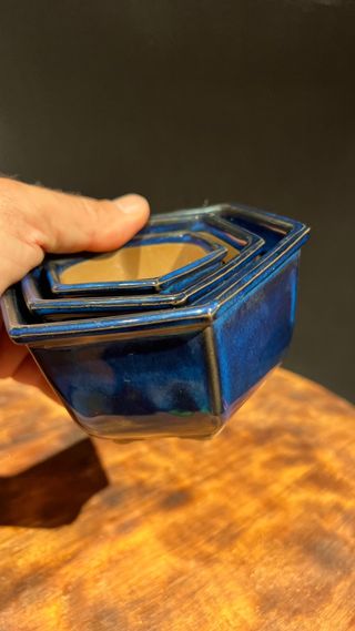 MACETAS BONSAI YOKKAICHI EXAGONALES JAPONESAS AZUL