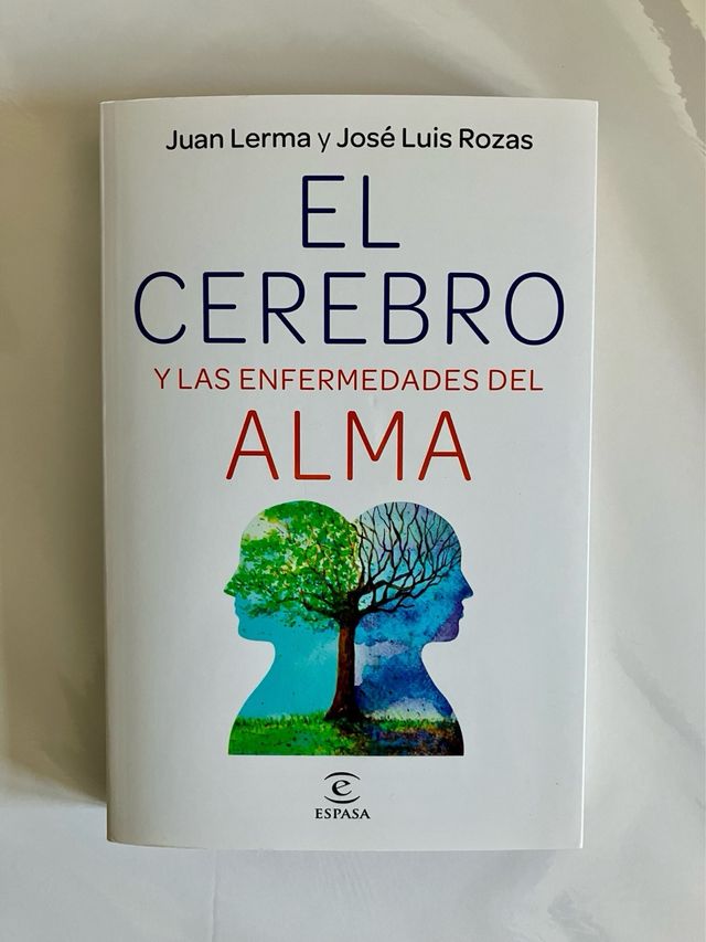 El cerebro y las enfermedades del alma