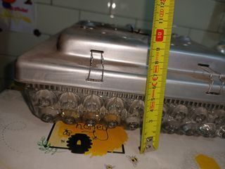 Applique vintage vetro