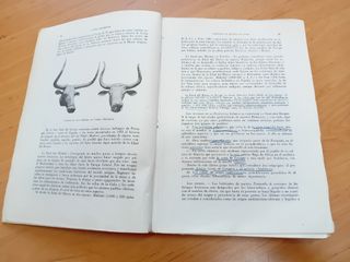 Compendio de historia de España