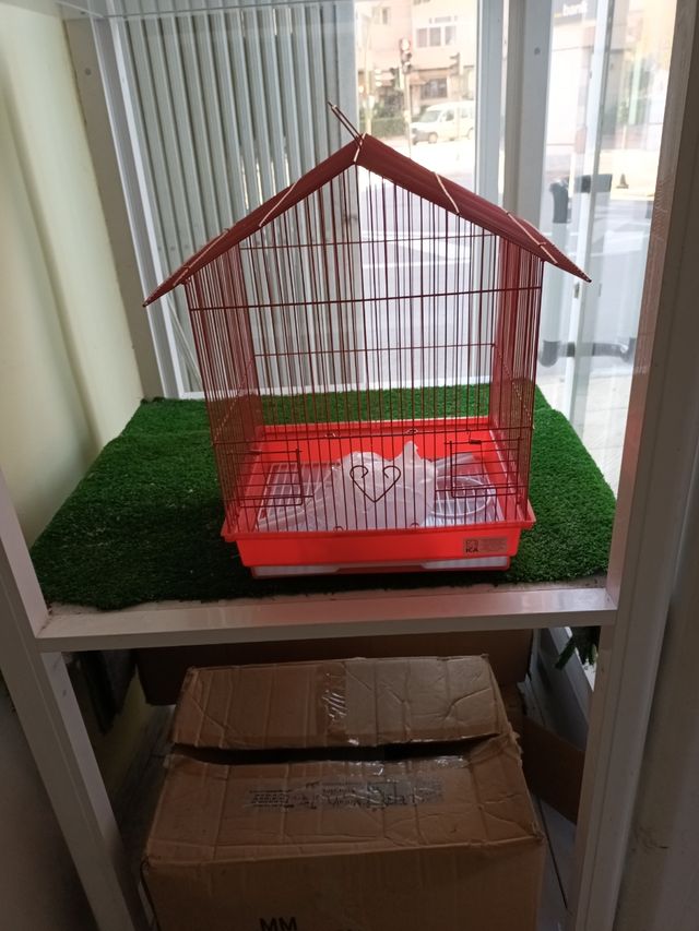 Jaula grandre para pajaros