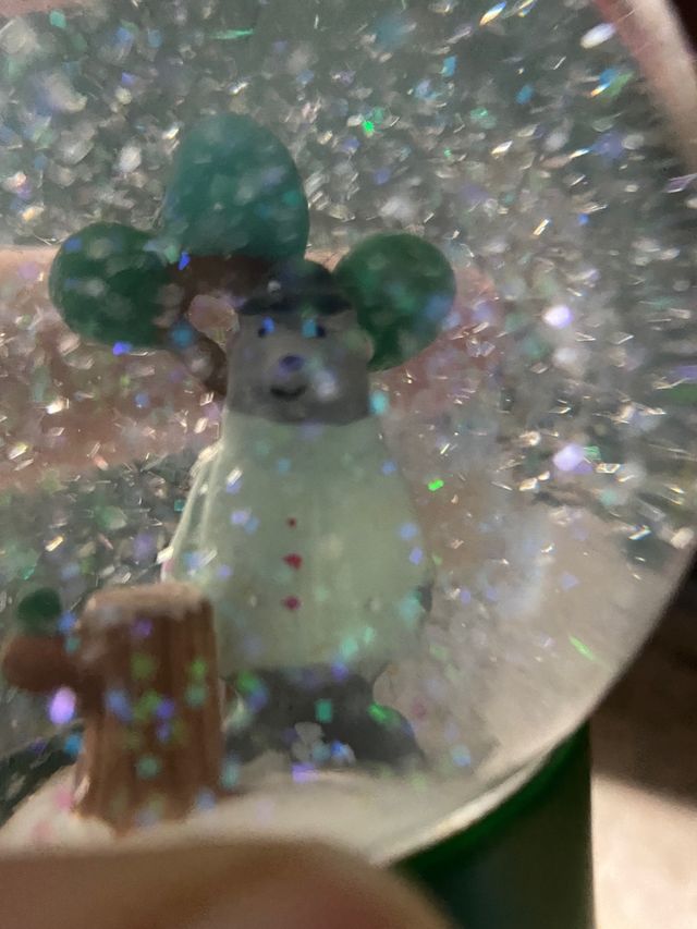 Palla di neve di vetro