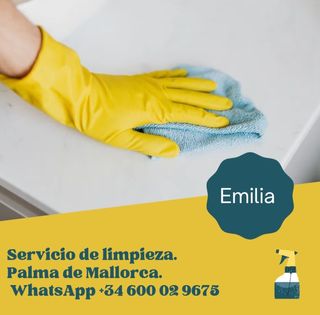 Servicio de limpieza