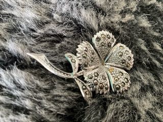 Pendientes y broche