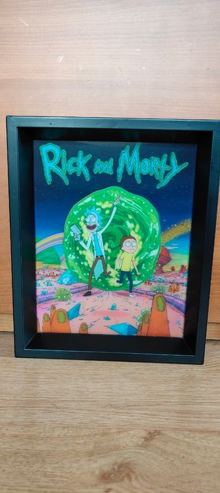 Cuadro Ricky and Morty 3D