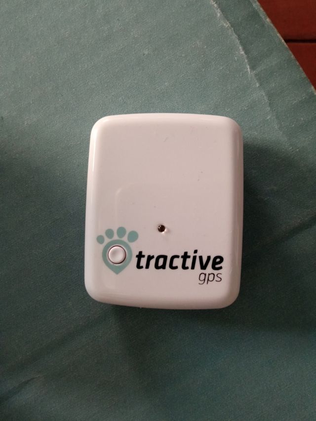 Animais de estimação GPS