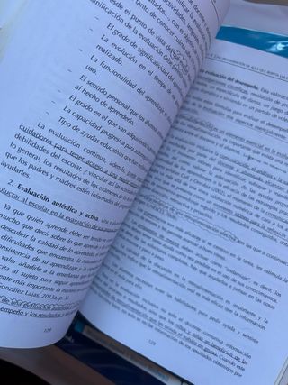 Atención A La Diversidad En Educación Primaria