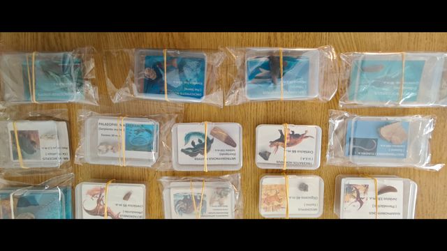 Gran colección fosiles. 10% Dto. Ve a mi perfil.