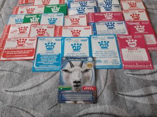 Amici cucciolotti 2023