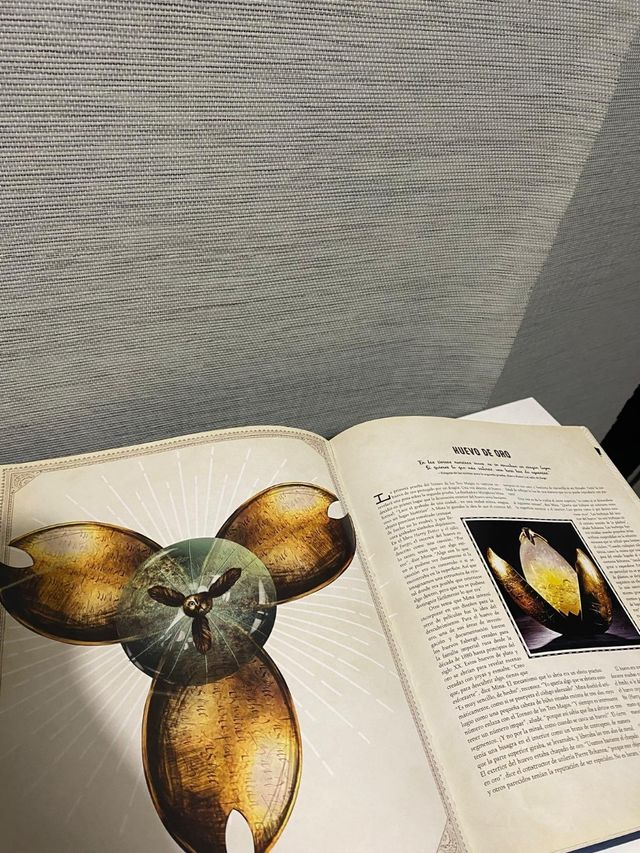 Libro de los artefactos Harry Potter