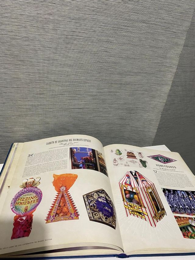 Libro de los artefactos Harry Potter