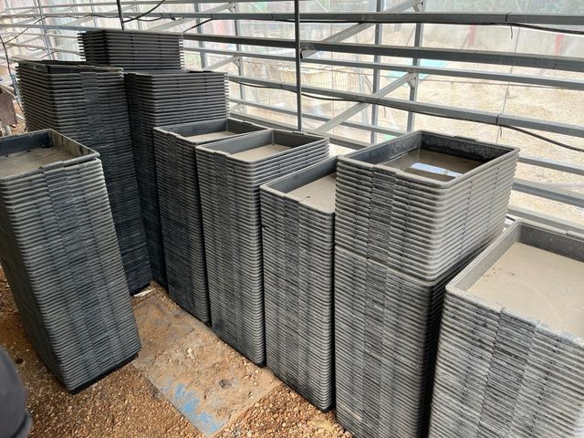 Bandejas de cultivo rigidas (620u.)