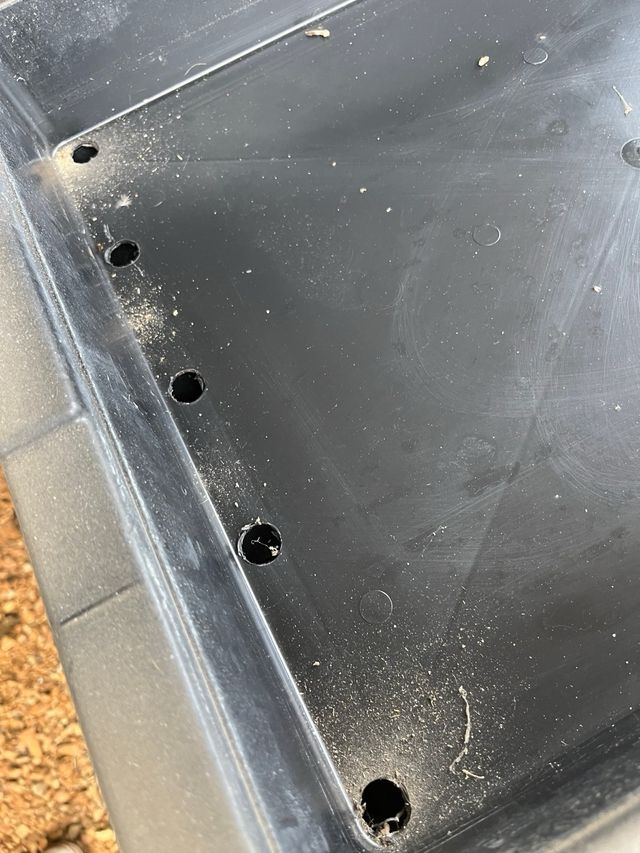 Bandejas de cultivo rigidas (620u.)