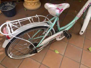 Bicicleta de paseo