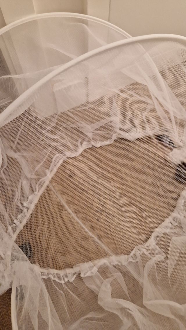 Mosquitera cuco bugaboo