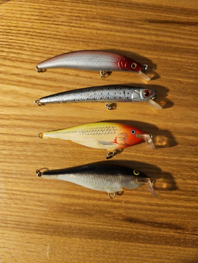 Juego muestras pesca