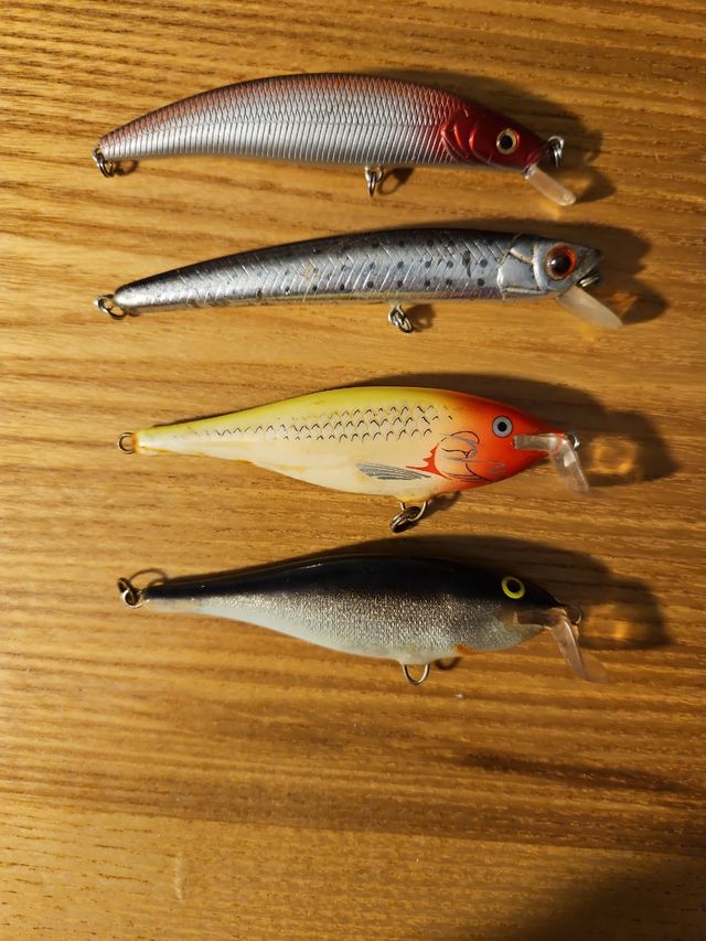 Juego muestras pesca