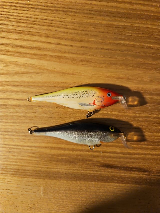 Juego muestras pesca