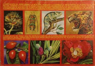 ALBUM MAGA ZOOLOGÍA Y BOTÁNICA