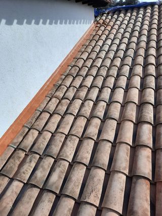 Tejados y cubiertas.