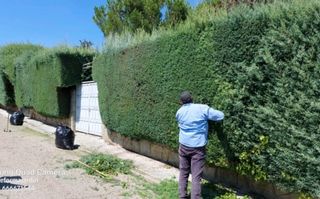 Jardinero economíco 