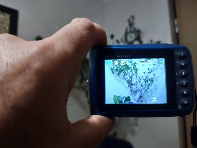 Macchina fotografica subacquea