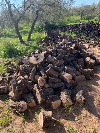 Leña de olivo