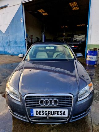 Despiece Audi A4 2.0 tdi
