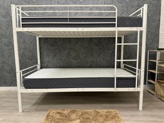 LITERA NUEVA SINGULAR