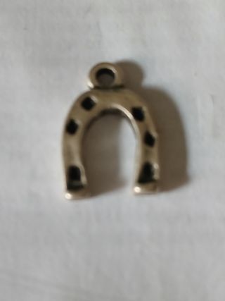 Herradura de plata