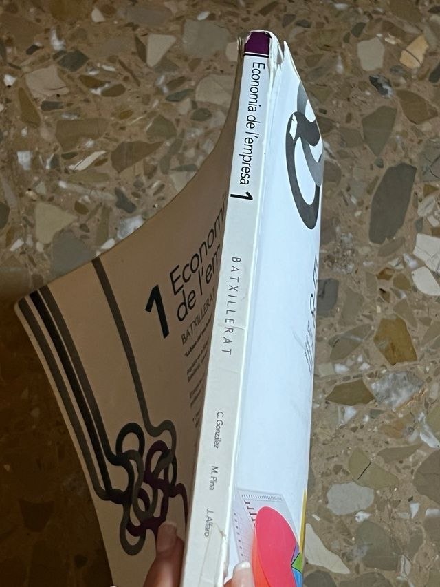 ECONOMIA DE L'EMPRESA 1 BATX