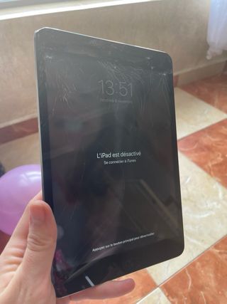 Ipad mini