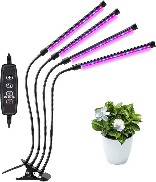 LUCES DE CULTIVO EN INTERIORES