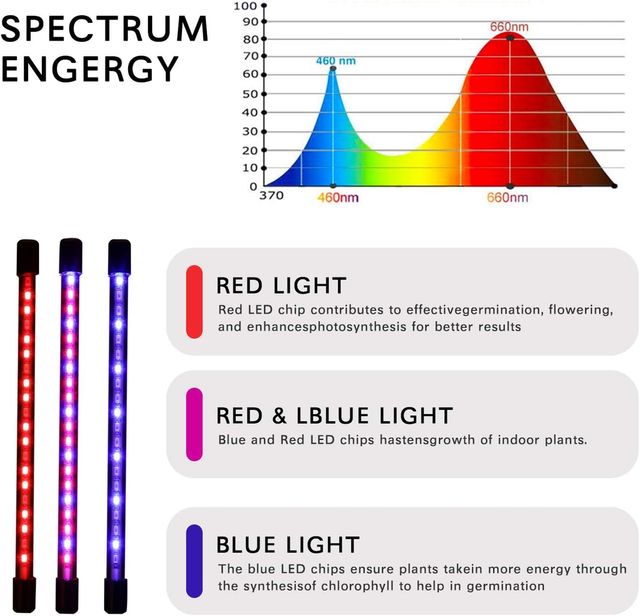 LUCES DE CULTIVO EN INTERIORES