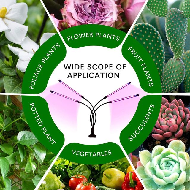 LUCES DE CULTIVO EN INTERIORES